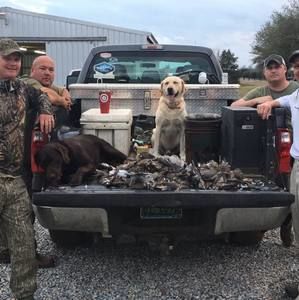 Meet your Posher, Cody